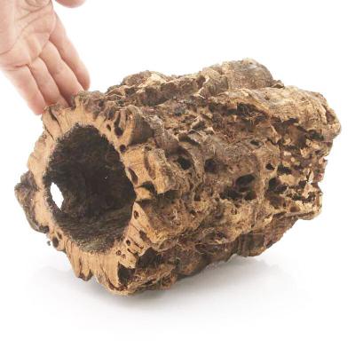 ふるさと納税 邑楽町 形状お任せ 筒型コルク Mサイズ 長さ15cm エアプランツ|09_chm-cl0101ca |  | 03