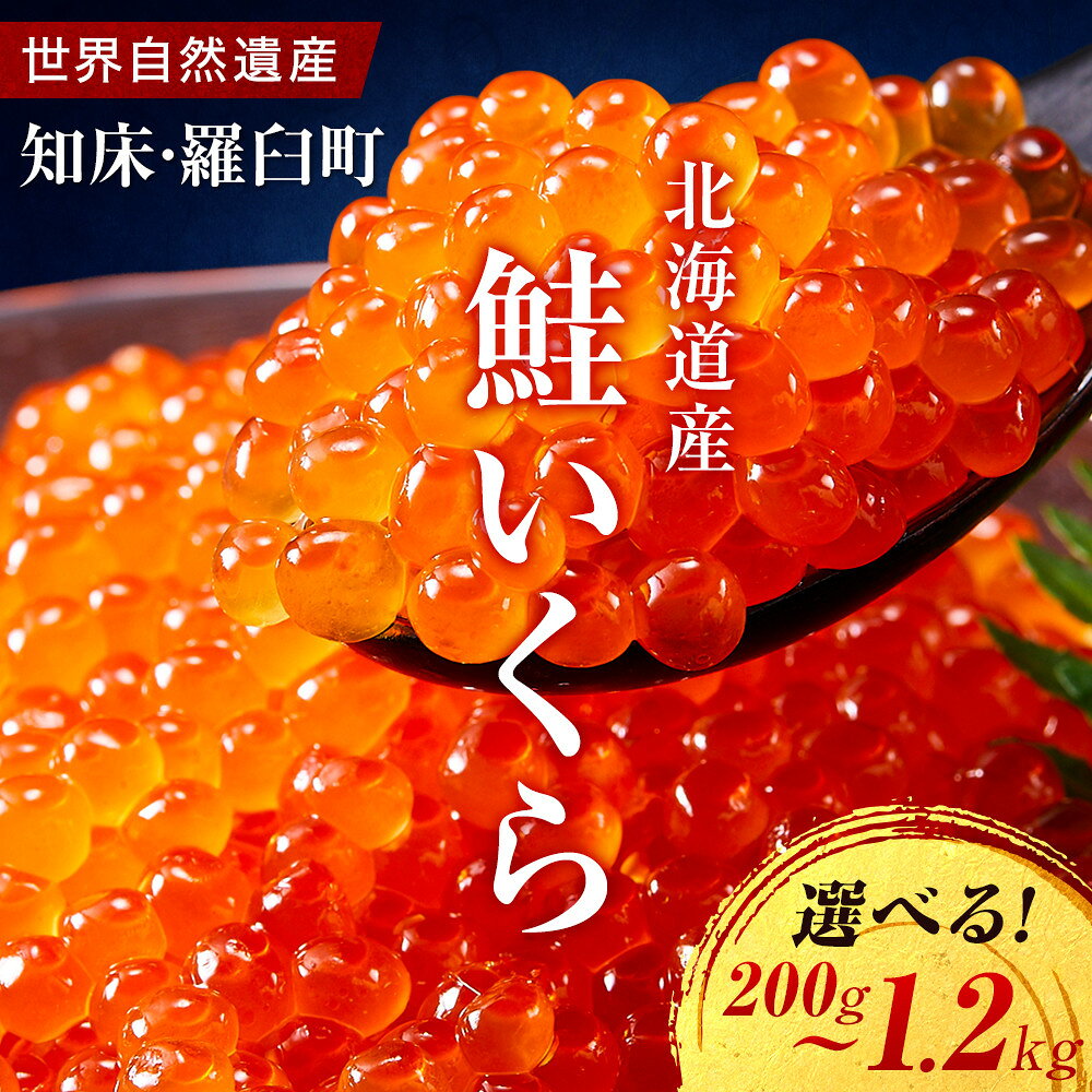 発送時期が選べる 新物 国産 いくら 500g 鮭卵 醤油漬け 北海道産 大容量 (250g × 2パック) 小分け パック イクラ 海鮮丼 ギフト 鮭いくら 年末 贈り物 魚介類 魚介 北海道 海産物 鮭 しゃけ 高評価★4.6 数量限定 羅臼町 生産者 支援 応援 F22M-001var