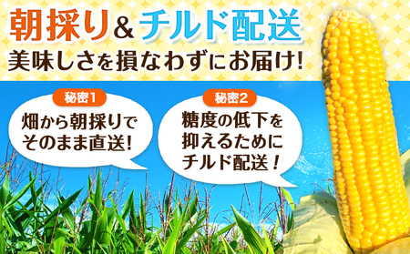 有機JAS栽培 とうもろこし オーガニック コーン 10本 Lサイズ 伊場ファーム《8月中旬-9月中旬頃より順次出荷》北海道 浦幌町 朝もぎたて とうもろこし スイートコーン 有機 新鮮 甘い 希少
