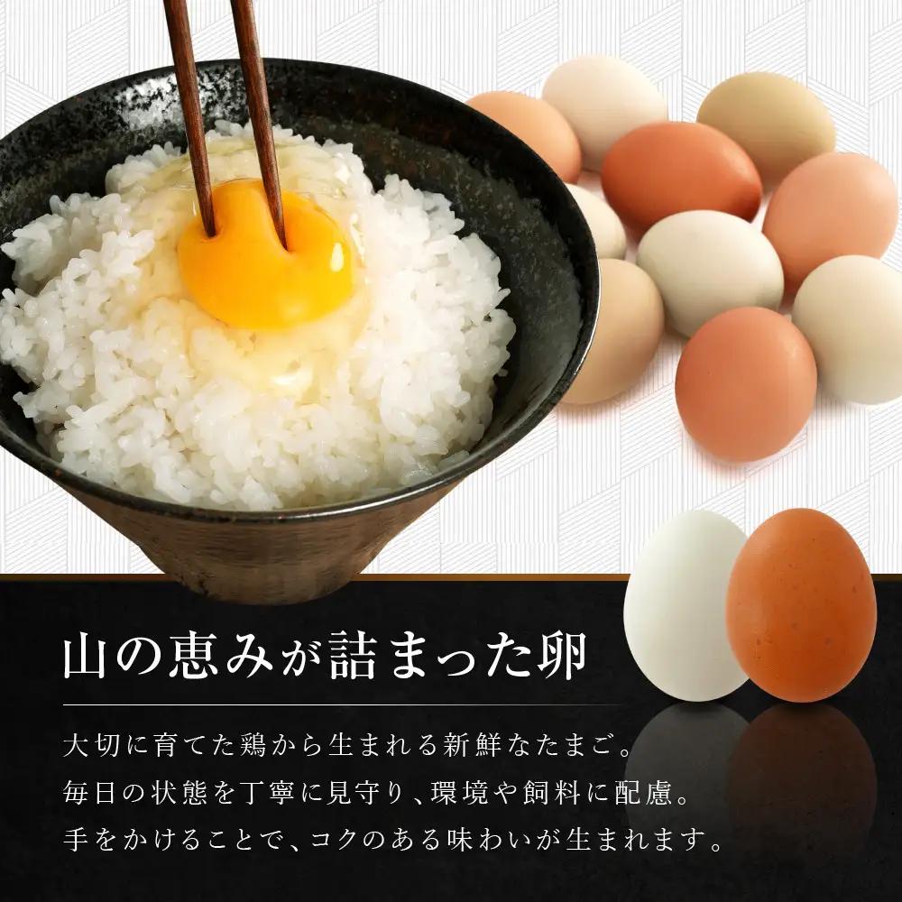 山恵園のたまご （ネラ卵15個＋アローカナ卵15個）| たまご 卵 赤玉 白玉  鶏卵 養鶏場 湯河原町