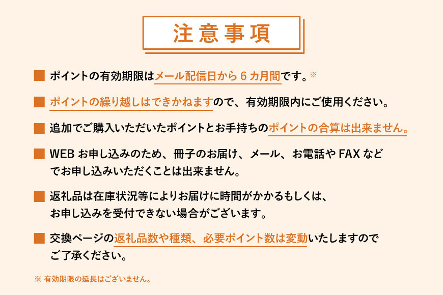 あとから選べるWEBカタログギフト（寄附10万円コース）30000ポイント和歌山市