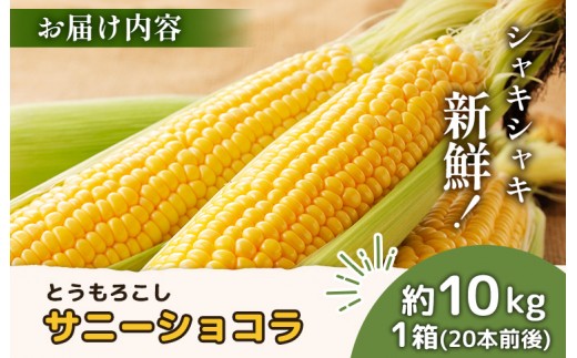 【2026年度発送分】上原農場直送 有機栽培とうもろこし (サニーショコラ) 約10kg 約20本前後