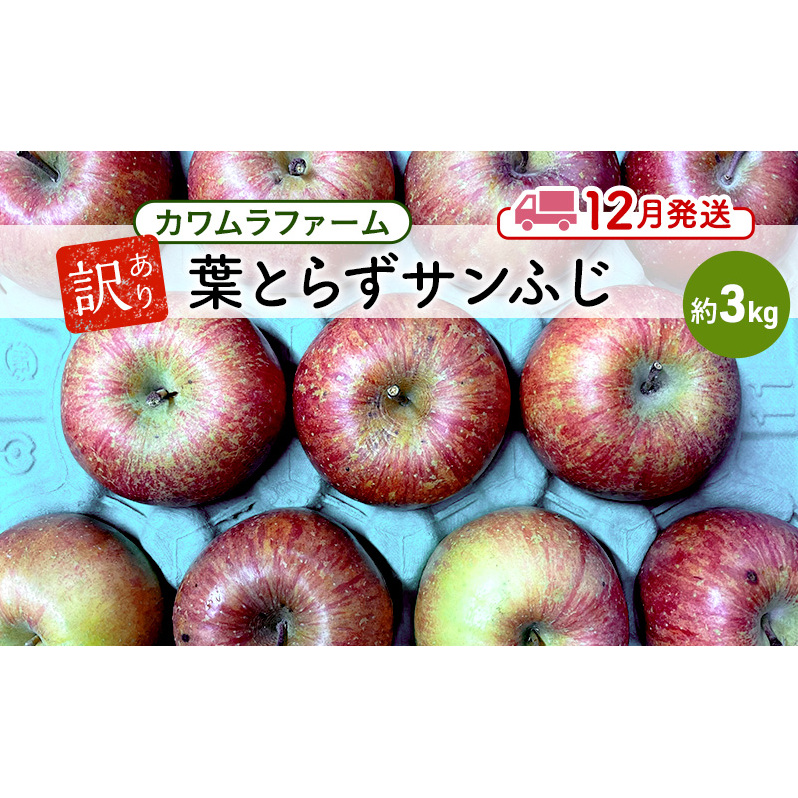 りんご 【12月発送】カワムラファーム 訳あり 葉とらず サンふじ 約3kg 【弘前市産 青森りんご】 青森 弘前