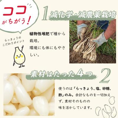 ふるさと納税 伊豆市 【数量限定】梅干し(160g×2パック)&らっきょうの甘酢漬け(130g×2パック) |  | 01