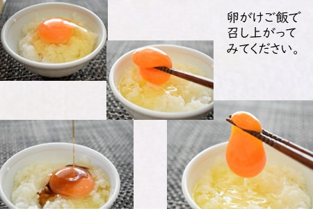 【定期便６か月】卵 30個 新鮮たまご 産卵後2日以内 10個×3箱 2L L ミックス 養鶏場直送 
