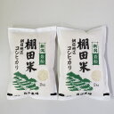 【ふるさと納税】【令和6年産米】新潟県岩船産 棚田米コシヒカリ 4kg（2kg×2袋） お米 精米 白米 ご飯 ごはん 村上市 1067084