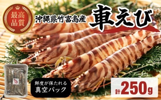 
            車えび 竹富島産 真空パック（冷凍） 250g
          