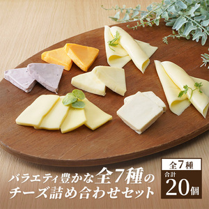チーズ＆チーズケーキセット 定期便 2ヶ月 クラフトチーズ バラエティ 20個 セット 詰め合わせ カマンベールチーズ クリームチーズ スライスチーズ 乳製品