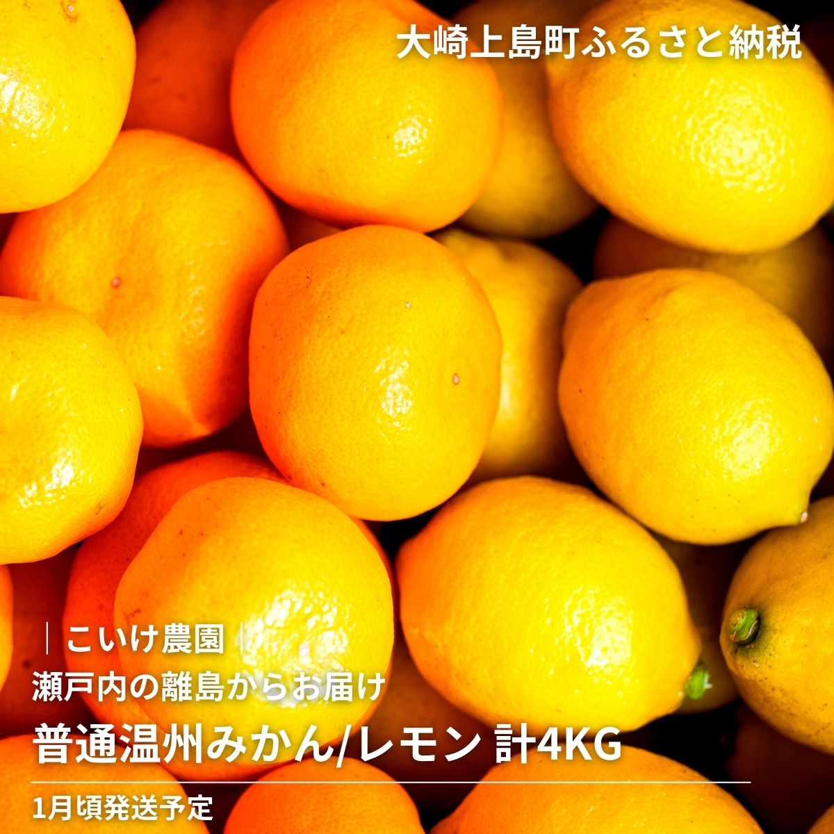 【ふるさと納税】先行予約 普通温州みかん レモン 詰め合わせ 約4kg 1月頃発送予定 こいけ農園 広島県 大崎上島町 瀬戸内 離島 濃厚 完熟 果物 フルーツ 柑橘 みかん レモン 檸檬 送料無料 産地直送