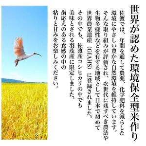 【令和５年度産】佐渡羽茂産コシヒカリ そのまんま真空パック 900g×6袋セット