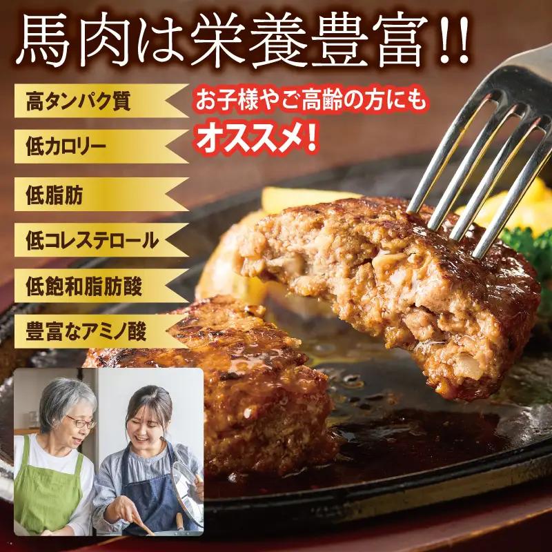【定期便】 桜文 馬肉ハンバーグ 120ｇ×10個 全3回 【毎月配送コース】