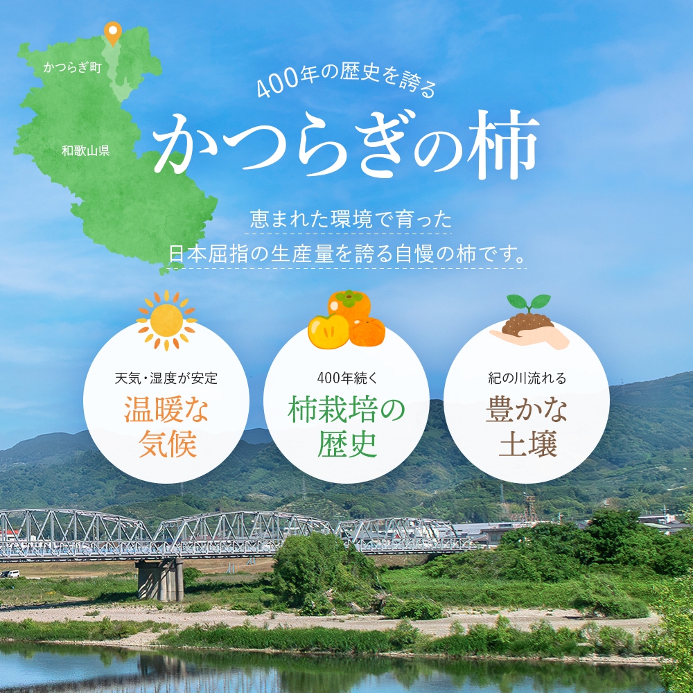 希少な柿【輝太郎】大玉6個～7個 コクのある甘さ！こだわり農家厳選 【2025年10月初旬頃から10月下旬頃順次発送】/ 柿 かき 果物 フルーツ 輝太郎 デザート おやつ 和菓子 菓子 お菓子 和歌