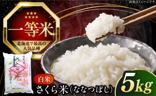 【令和6年産】【特A】一等米 さくら米（ななつぼし）5kg《厚真町》【とまこまい広域農業協同組合】  米 お米 白米 ななつぼし 特A 一等米 北海道[AXAB061]