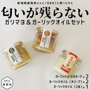  ガリマヨ＆食べるにんにくオイル 食べ比べセット ガリマヨ 2個 食べるにんにくオイル（オリーブオイル） 2個 食べるにんにくオイル（ごま油） 1個 kimataファーム ガーリックオイル にんにく 