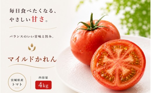 トマト【かれん】 マイルドかれん  4kg（箱満杯詰め） /  野菜 トマト【delf024】