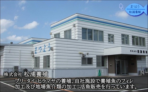 ぶりアラ炊きにぴったり カット済みぶりの旨いところ 2kg( ぶり 鰤 松浦産 アラ アラ炊き 煮つけ )【A7-082】