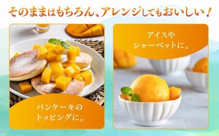 アップルマンゴー上品 約1.8kg（3～5玉）化粧箱