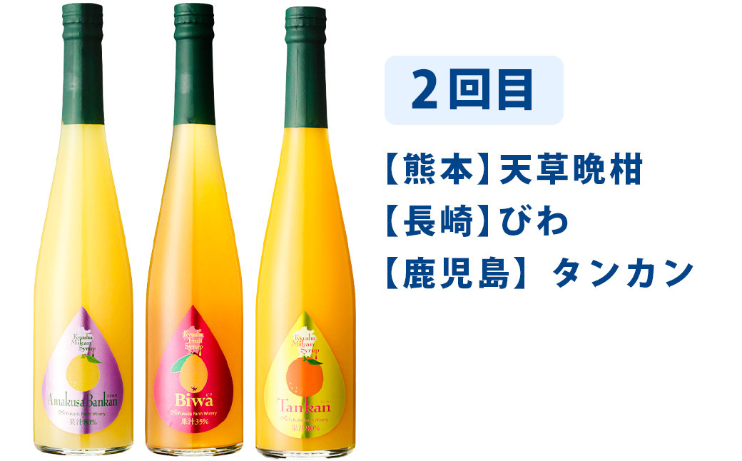 【3ヶ月定期便】九州を飲む！毎月届く九州果実シロップ飲み比べセット