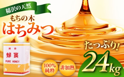 もちの木はちみつ（一斗缶24kg） / はちみつ 国産 非加熱 純粋 蜂蜜 天然 ハチミツ / 稲沢市 / 椿園株式会社 [BMBI005]