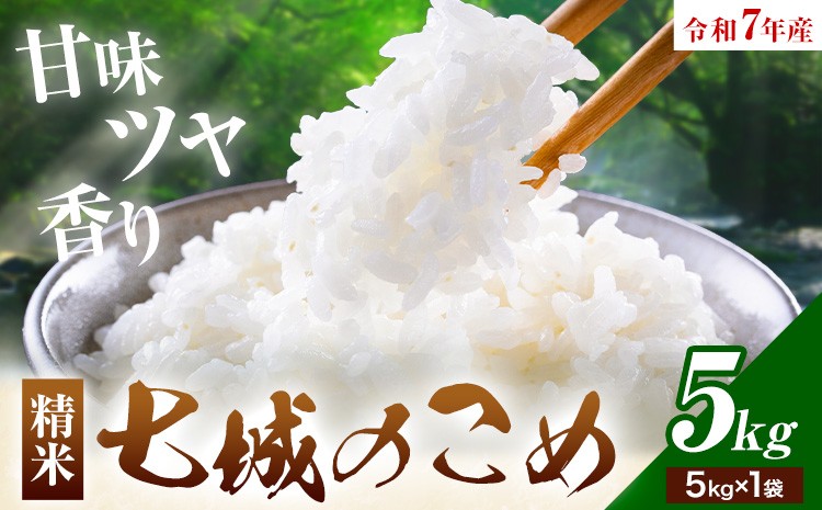 
                  令和7年産 七城のこめ 精米 5kg ヒノヒカリ ひのひかり 有限会社七城町特産品センター 《30日以内に出荷予定(土日祝除く)》 熊本県 菊池市 定期便 お米 米 白米 九州産 熊本県産
                