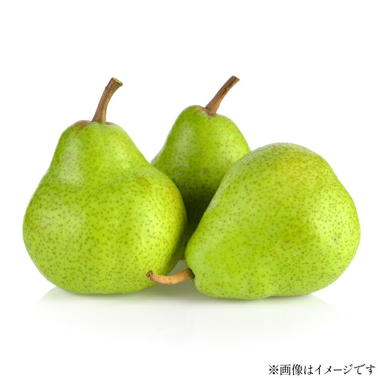 【ふるさと納税】【期間限定発送】 ラ・フランス 高畠町産 ラ・フランス 7〜9玉 約 3kg [tk06ays870010 山形県 高畠町 JA山形おきたま] 梨 洋梨 果物 くだもの フルーツ 3キロ