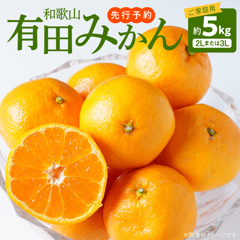 AT6307_【2025年先行予約】ご家庭用　和歌山有田みかん 約5kg (2L、3Lサイズいずれか)【湯浅町】