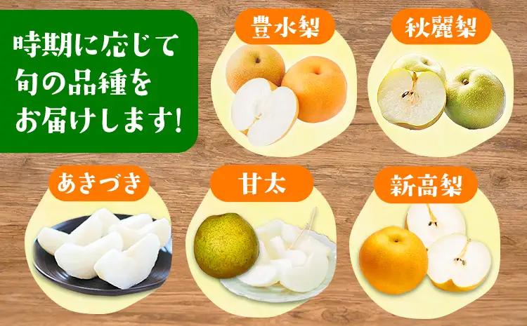 先行予約 4回 フルーツ 定期便 梨 みかん 柿 不知火 緑伸園  熊本