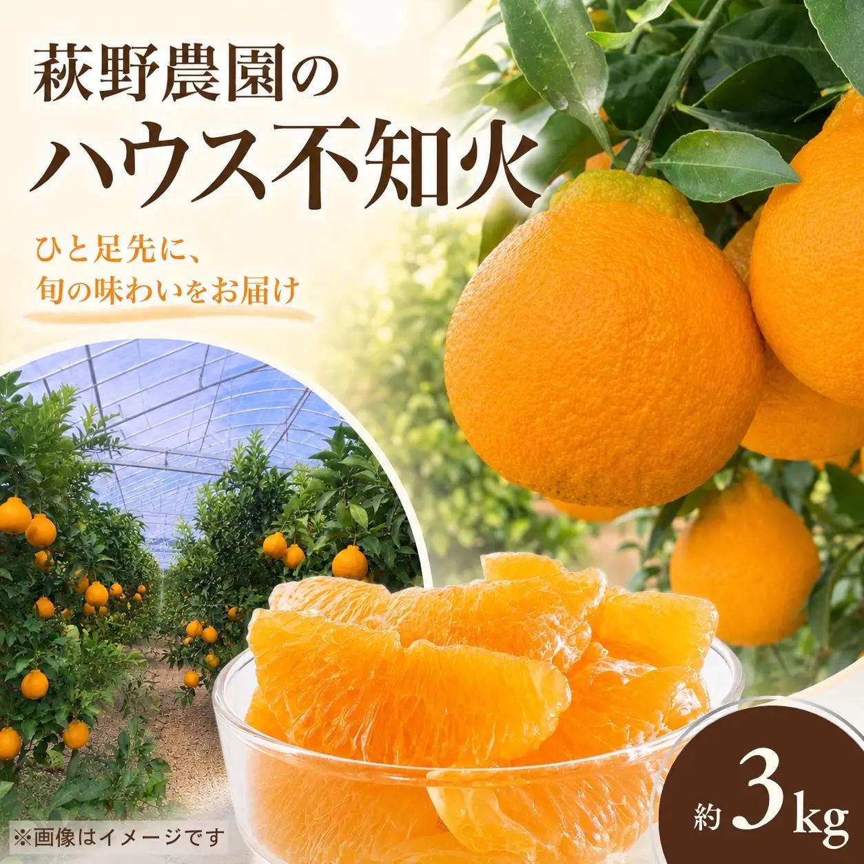 不知火 萩野農園の ハウス 不知火 3kg ※2027年1月初旬から1月中旬に順次発送予定 しらぬい【mhn003A】