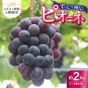 【ふるさと納税】 山梨県産 ピオーネ 種なし 約2kg 2〜5房 ぶどう 葡萄 果物 フルーツ デザート 甘い 山梨県 上野原市 送料無料 ※沖縄県・離島不可