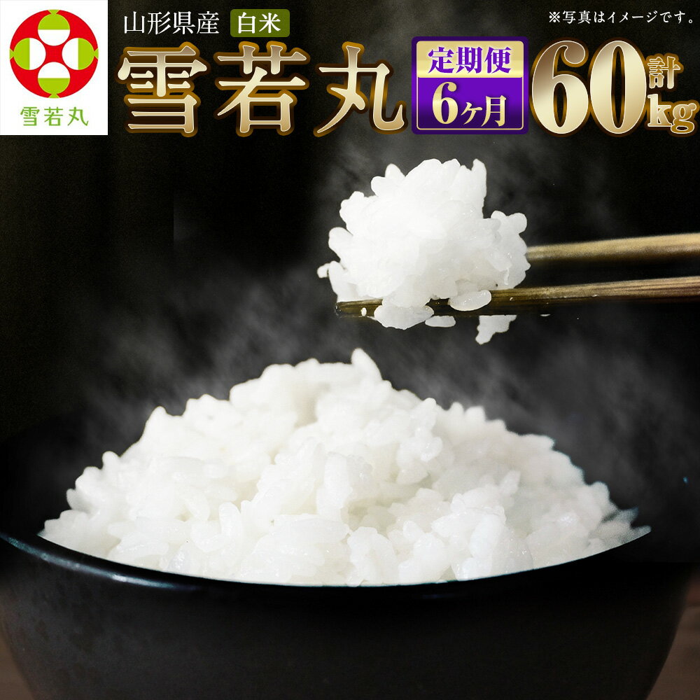 【ふるさと納税】【6ヶ月定期便】【令和7年産新米】〈白米〉 雪若丸 10kg×6回 合計60kg 山形県産 精米 【2025年11月上旬発送開始予定】