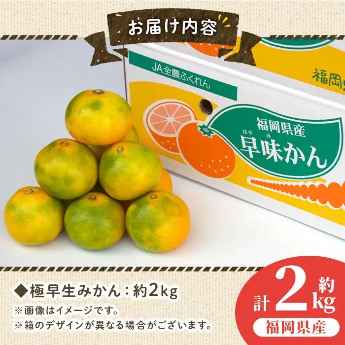＜先行予約受付中！2026年9月中旬～9月下旬に順次発送予定＞極早生みかん 早味かん(約2kg)みかん ミカン フルーツ 果物 くだもの 柑橘 福岡限定 オリジナルブランド＜離島配送不可＞【ksg01