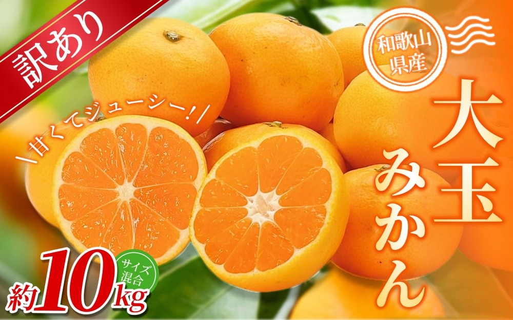 
                  【訳あり・ご家庭用】 森本農園の手選別 大玉みかん 約10kg 和歌山県産 【北海道・沖縄・離島配送不可】【2026年11月上旬～2027年2月中旬ごろに順次発送】【BV-mrmt073】
                