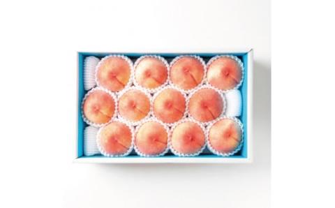 【先行予約】和歌山県産の美味しい桃 約4kg （10～15玉入り）【2024年6月中旬頃から順次発送予定】 和歌山 もも モモ 桃 ギフト 贈り物 プレゼント 夏ギフト 果物 フルーツ 人気 産地直送