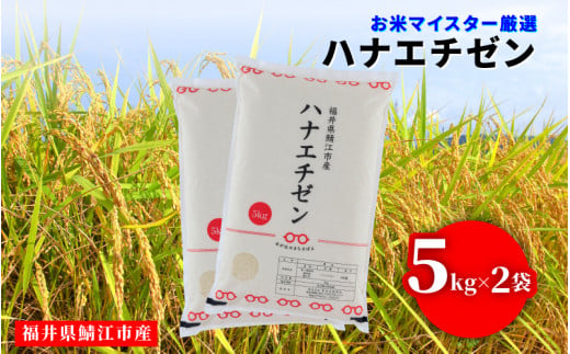 令和6年産 ハナエチゼン 10kg（5kg × 2袋）×1回 [B-02029b]