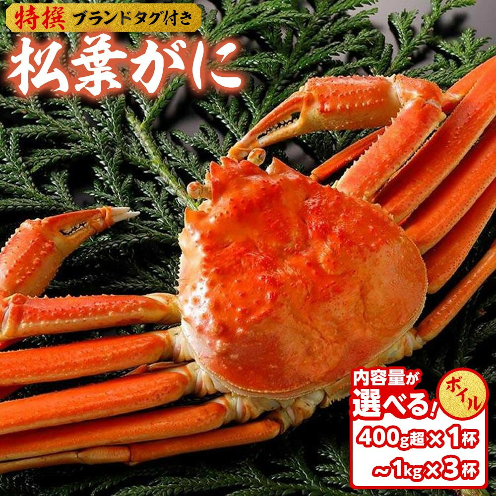 【ふるさと納税】内容量が選べる【ボイル】≪2025年11月発送≫ 特撰 松葉がに【ブランドタグ付き】 400g超×1杯～1kg×3杯 | 松葉ガニ 松葉がに かに 蟹 鳥取県産 特撰 ボイル タグ付き カニ味噌 みそ 新鮮 鳥取県 北栄町 おすすめ 人気