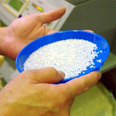 ふるさと納税 君津市 千葉・上総千年米コシヒカリ　5kg |  | 02