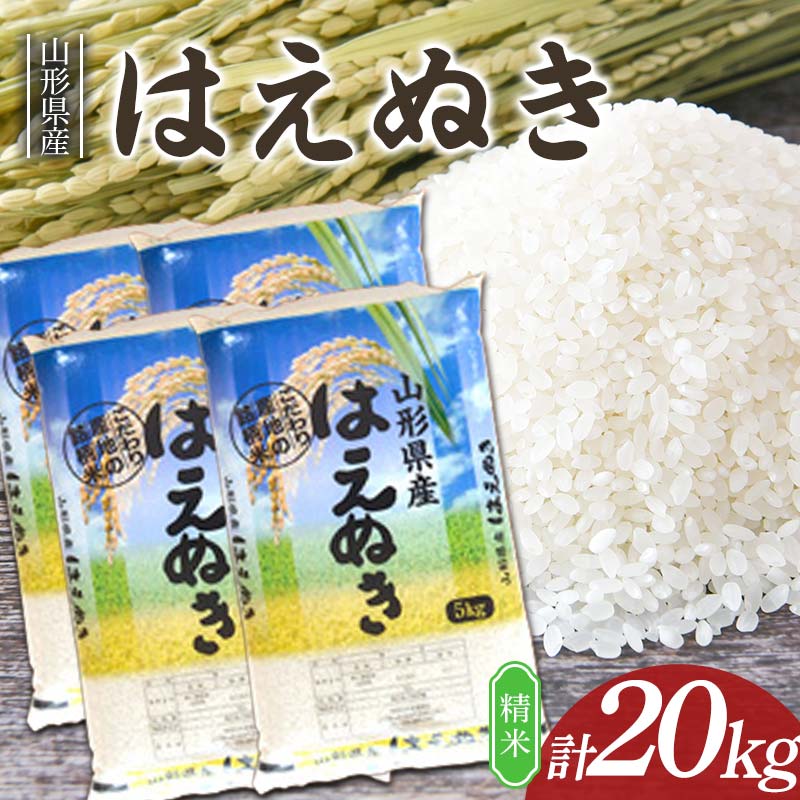 【ふるさと納税】 はえぬき 20kg (5kg×4袋) 山形県産 精米 【令和7年産】 F2Y-4605