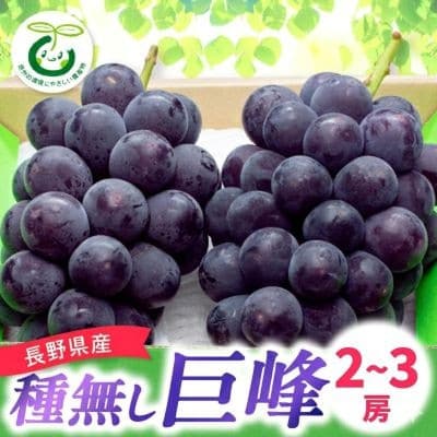 【発送月固定定期便】2026年発送[長野県産]信州種無し巨峰 2～3房+サンふじ林檎 10kg全2回【配送不可地域：離島】【4083014】
