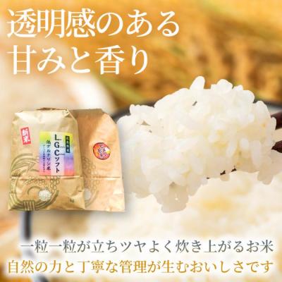 ふるさと納税 三原市 LGCソフト 低グルテリン米 5kg [238-001] |  | 03