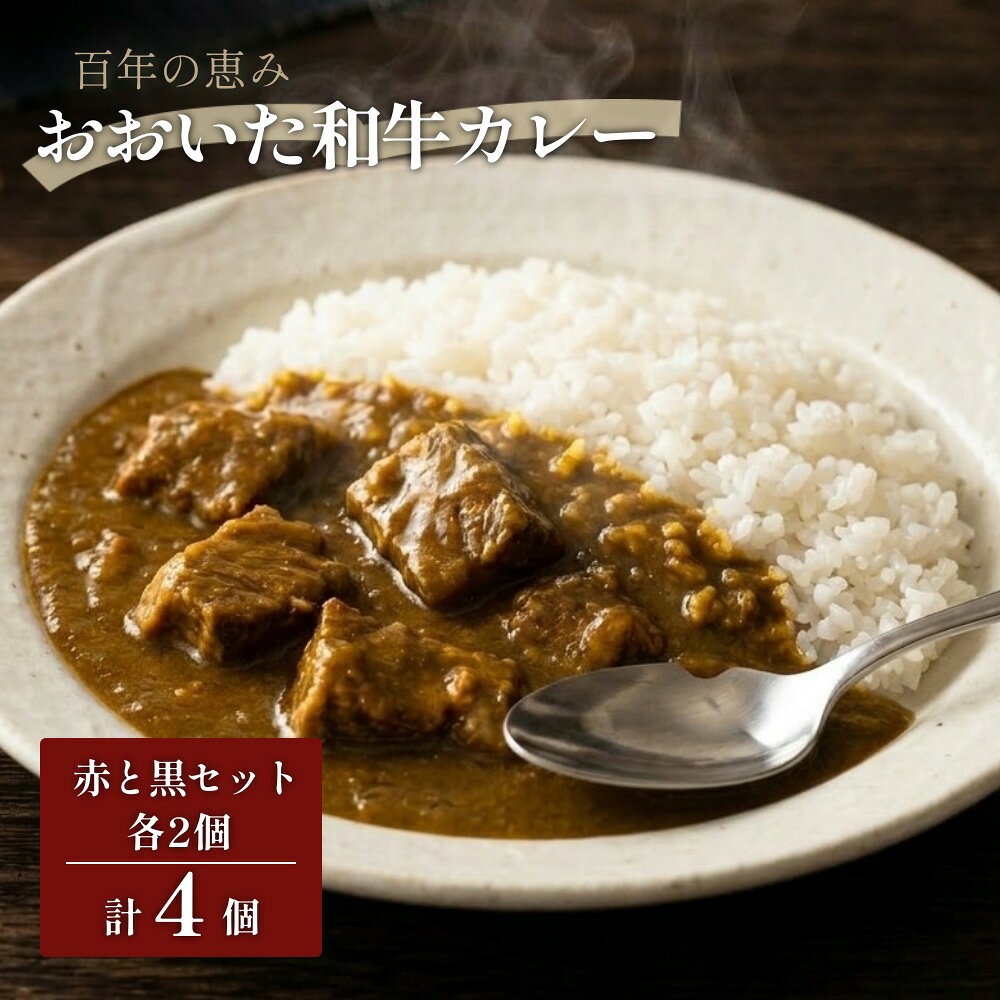 【ふるさと納税】百年の恵み おおいた和牛カレー 赤と黒セット 各2個 計4個