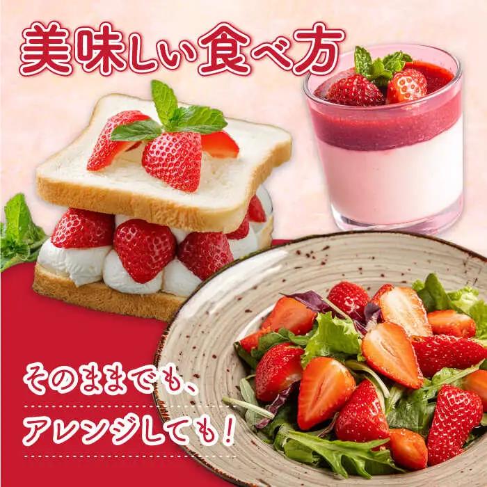 【2027年1月-発送】いちご2種類 食べ比べ 約250g×4P [SAC006] いちご