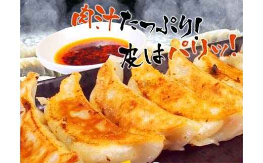 餃子65個 13個×5 中華料理専門店 手作り 肉汁 ぎょうざ 惣菜 セット 中華 おかず ギョーザ ギョウザ 豚肉 パリパリ もちもち コラーゲン F4F-2420