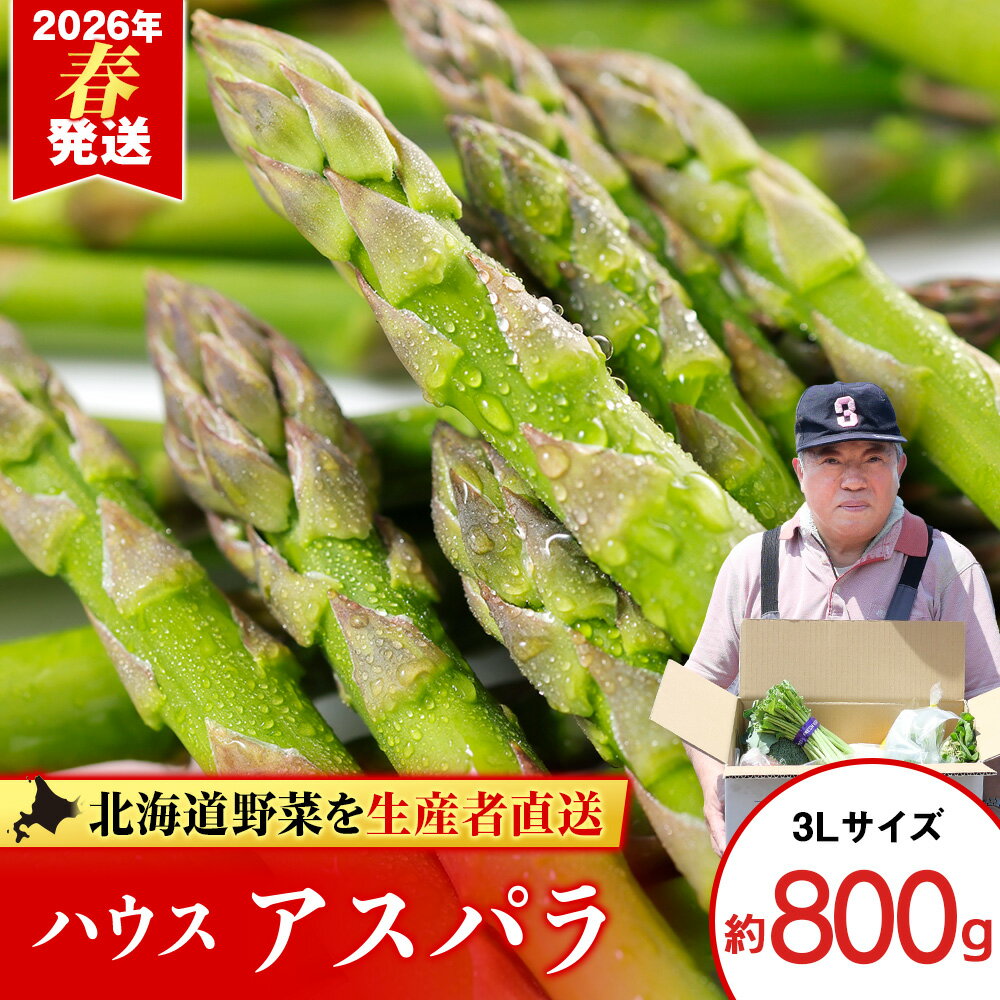 【ふるさと納税】2026年発送 ハウスアスパラ(3L) 約500g【土居ファーム】北海道ふるさと納税 野菜 アスパラ アスパラガス グリーンアスパラ 北海道 千歳市【北海道千歳市】ギフト ふるさと納税