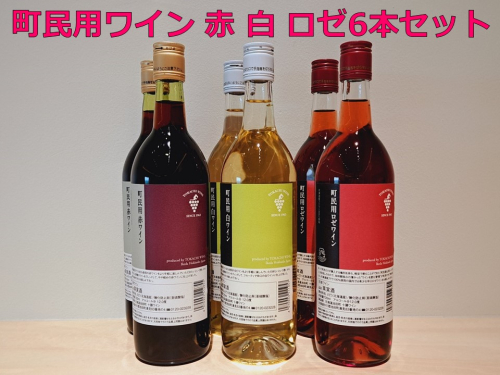 十勝ワイン　町民用シリーズ6本セット(赤・白・ロゼ　各2本)【B001-12-2】