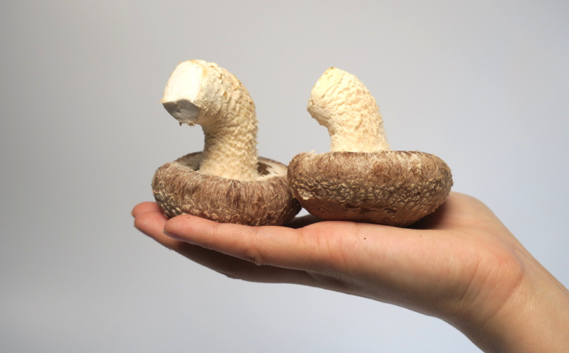 【贈答用】北海道の自然で育った極撰肉厚しいたけ