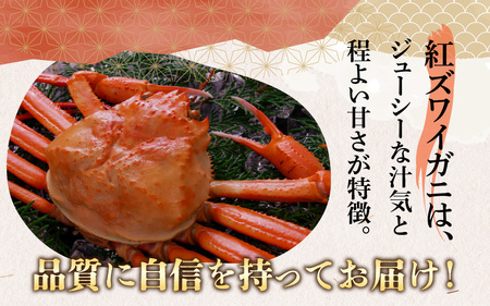【先行予約】【12月発送】【数量・期間限定】福井県産 越前 紅ズワイガニ ×3杯【急速冷凍】（プロトン凍結）