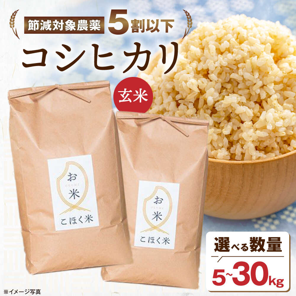 【ふるさと納税】すぐ発送＜選べる内容量＞【令和7年産】米 コシヒカリ 玄米 5kg 10kg 20kg 30kg 環境こだわり米 長浜市/エース物産[AQAK001] 米 お米 こしひかり こめ コメ おすすめ ごはん ご飯 おにぎり 5キロ 10キロ すぐ届く すぐ 届く 早い スピード発送