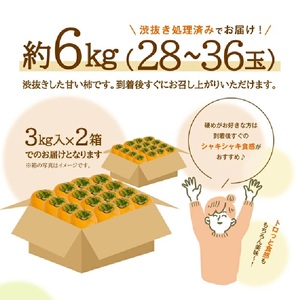 SB0940　酒田産 庄内柿　約6kg(28～36玉入)2L～3Lサイズ