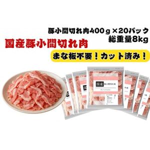 国産豚小間切れ肉8kg【配送不可地域：離島】【1664050】
