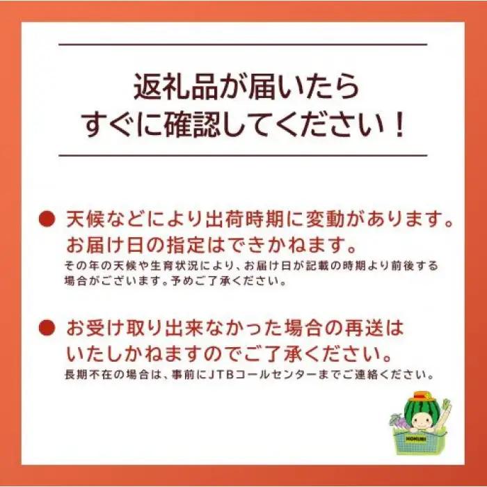 【先行予約】秋甘泉 3kg前後（3～11玉前後） ※2026年9月中旬～9月下旬頃に順次発送予定 梨